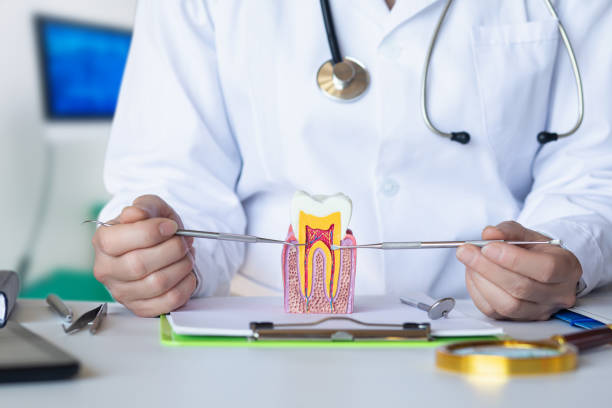 Best Emergency Dental Care for Abscessed Tooth in Hernando, FL
